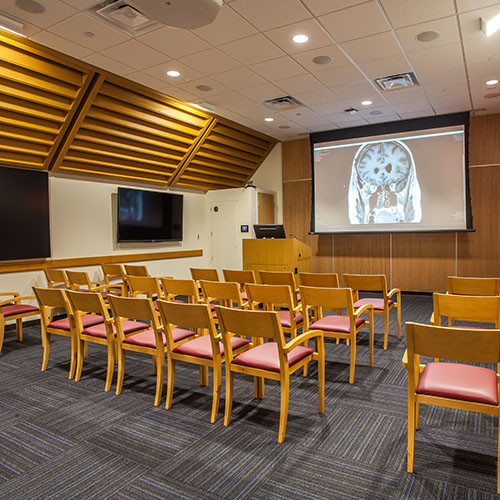 Draper Ultimate Access V Electric Projection Screen