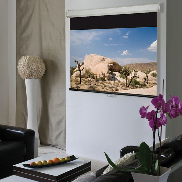 Draper Luma 2 Manual Projection Screen