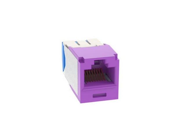 Panduit CJ6X88TGVL-24 Mini-Com Cat6A Violet Jack Module, 24 Pack