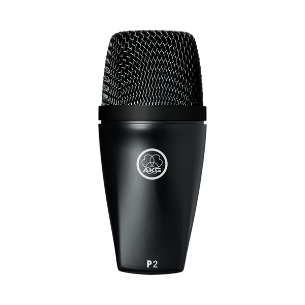 AKG P2 High-Performance Dynamic Bass Microphone