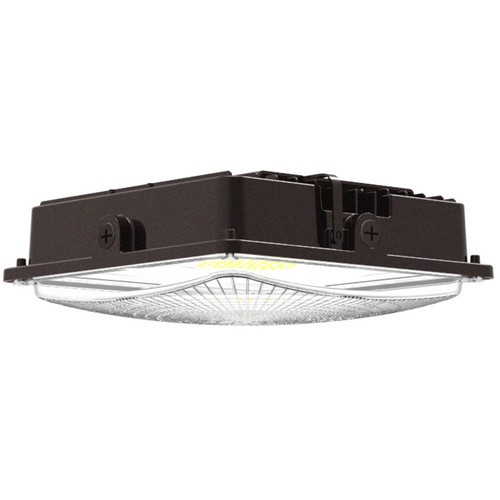 Morris 71609C Canopy Light