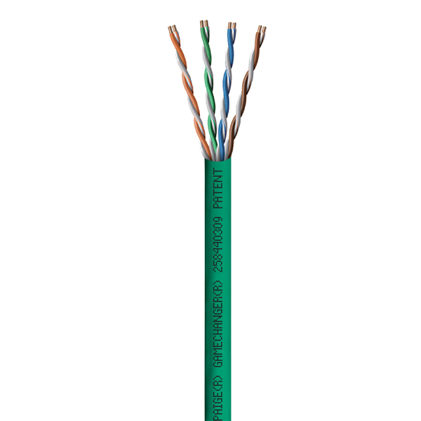 Paige 258440309 GameChanger Cat6 UTP Riser Cable