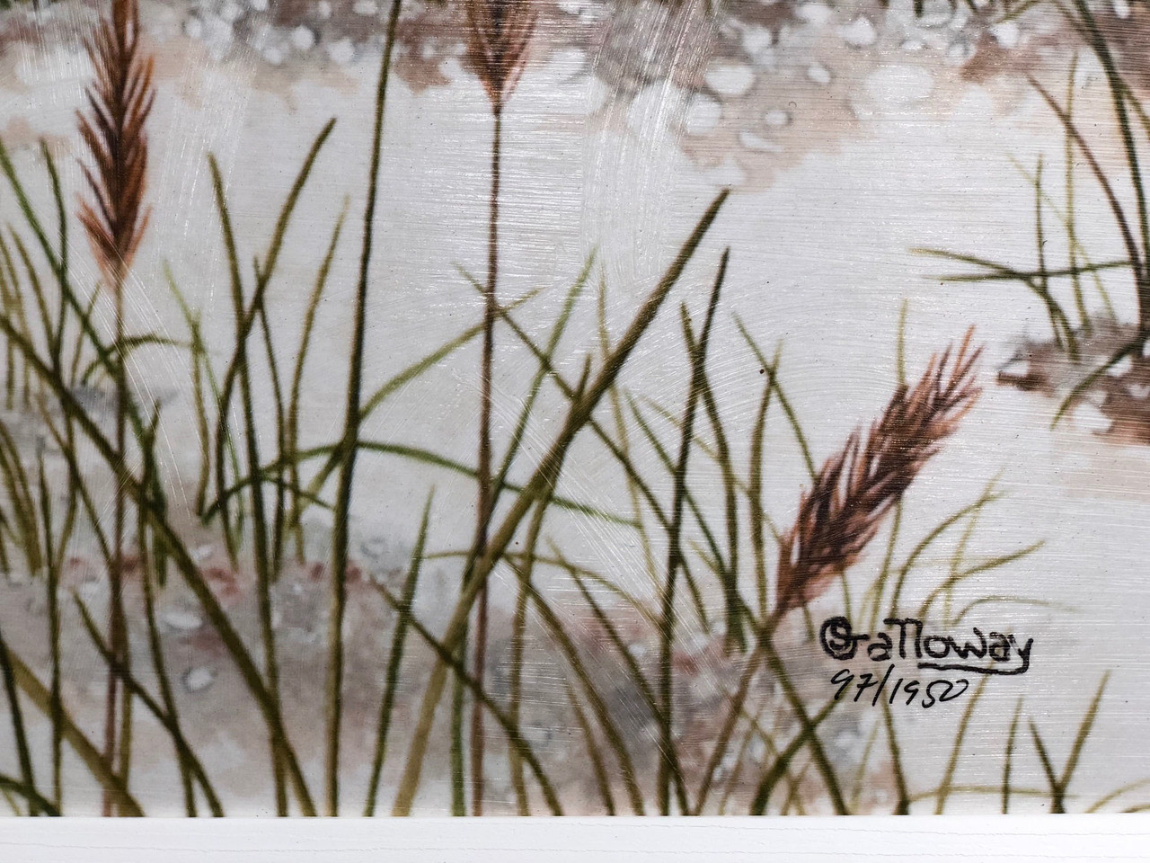 Fl Sign printed On Real Wood 30/" x 30/" FUG1-SHE3-30/" x 30/"-1 Details about / Large Boca Grande