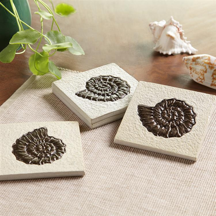 Spi Nautilus Shell Coasters