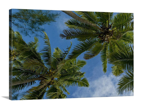 Hammock View Canvas Wrap - David Lawrence Photography