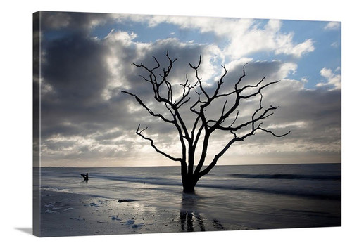 Boneyard Beach Canvas Wrap - David Lawrence Photography