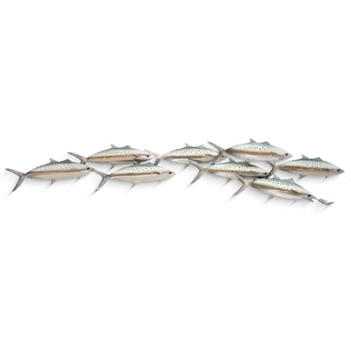 Spanish Mackerel School of 8 fish MM228