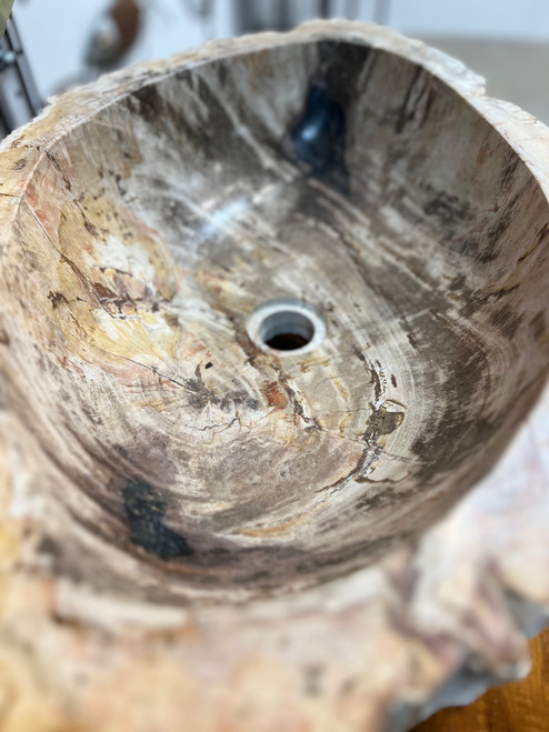 Petrified Wood Sink