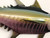 Stainless steel Mahi Mahi or dolphin fish can be hung on a covered patio or lanai with indirect exposure to the elements. 