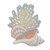 Shells with Sea Fan CW463 Shells with Sea Fan CW463