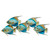 Queen Angelfish Blue School of 5 - CO007