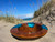 Blue Shell Resin Natural Wood Sink