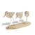 Sandpiper Trio - Soft Natural Finish CW743