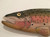 Rainbow Trout Wall Art CW373