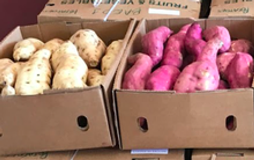 Sweet potato box