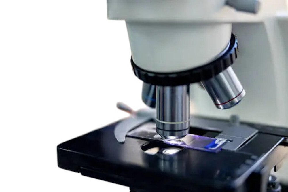 Magic Mushroom Spores - Spore Genetics Labs