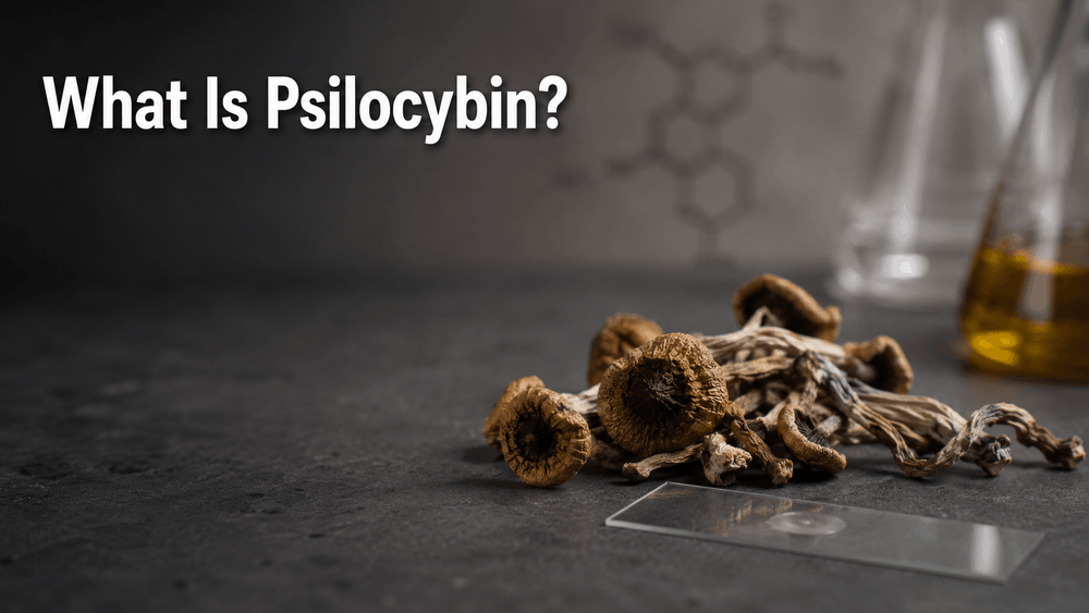 What Is Psilocybin? The Compound Behind Magic Mushrooms