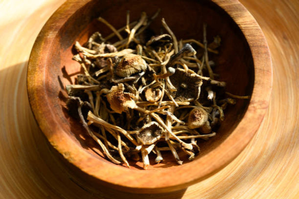 Nature's Secret Psilocybin Mushrooms
