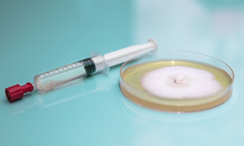 Helpful Tips for Using a Mushroom Spore Syringe