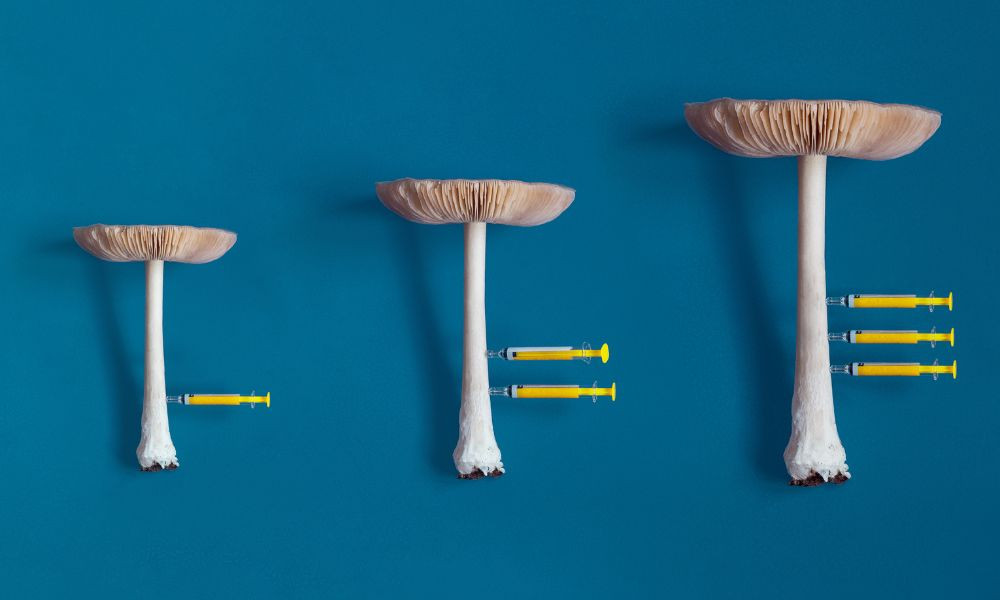 How Long Does a Spore Syringe Last? Tips for Proper Storage