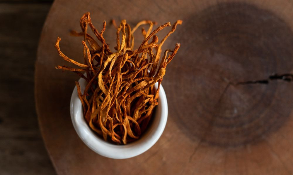 Top 4 Medicinal Mushrooms for Health and Wellness