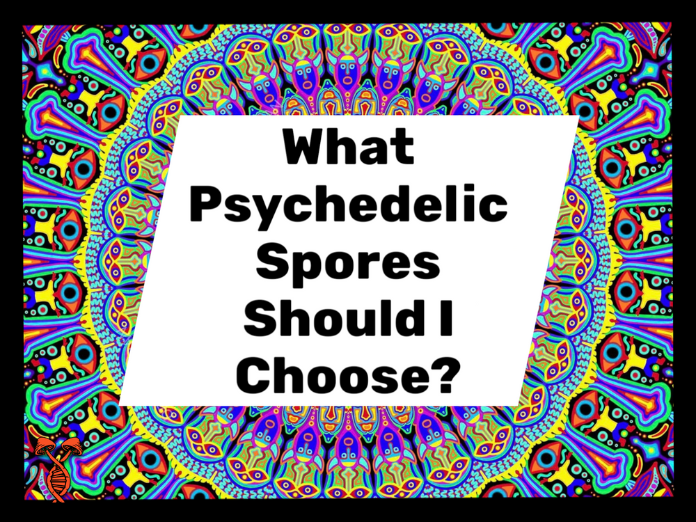 What Psychedelic Spores to Choose