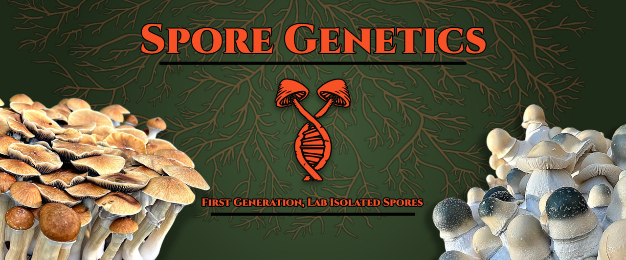 Mushroom Spores & Liquid Cultures | Spore Syringes | Spore Genetics™