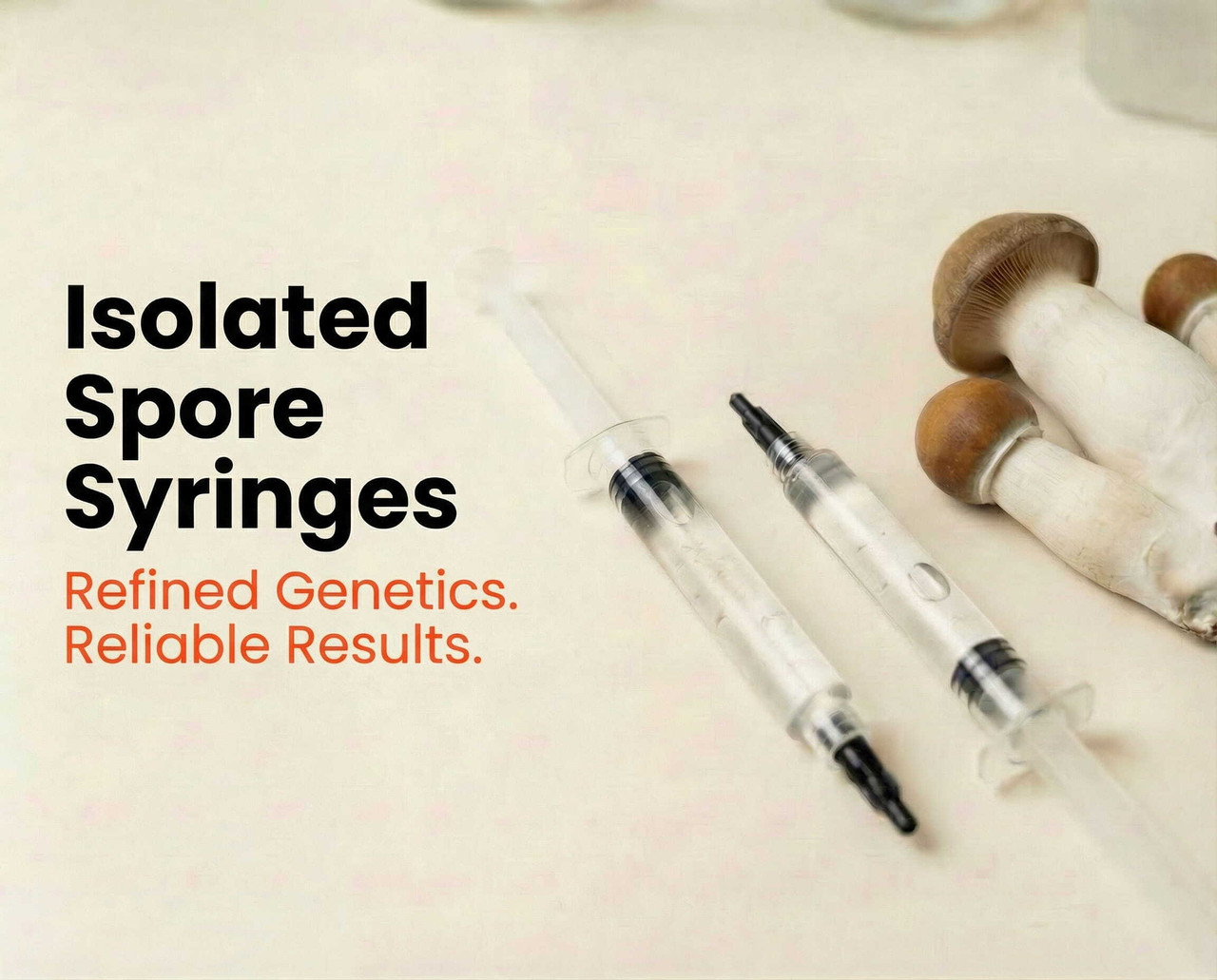 Isolated Spore Syringes