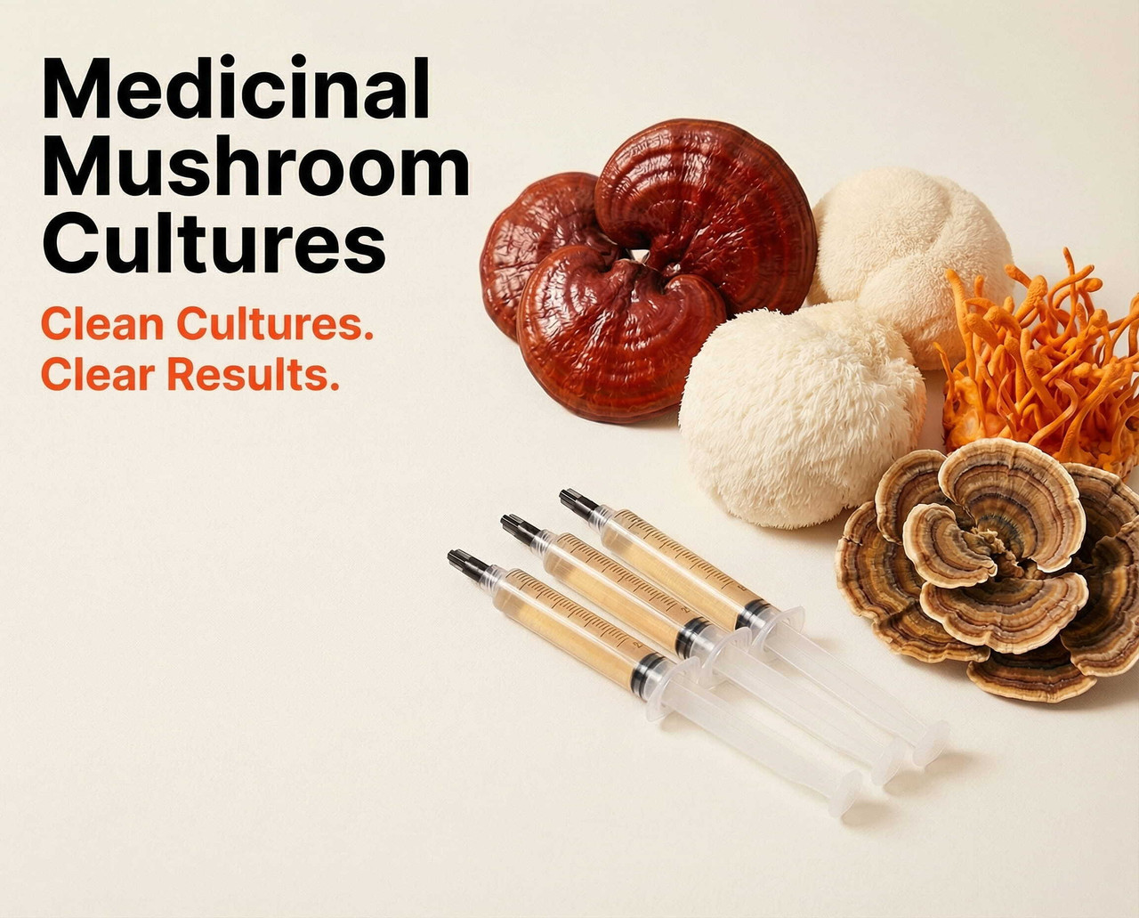 Medicinal Mushrooms