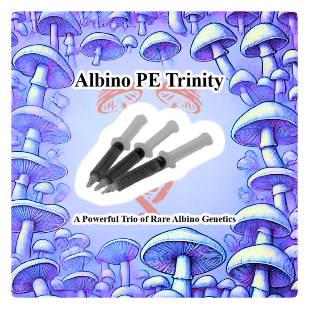 Albino PE Cubensis Trinity Spore Syringes | Spore Genetics