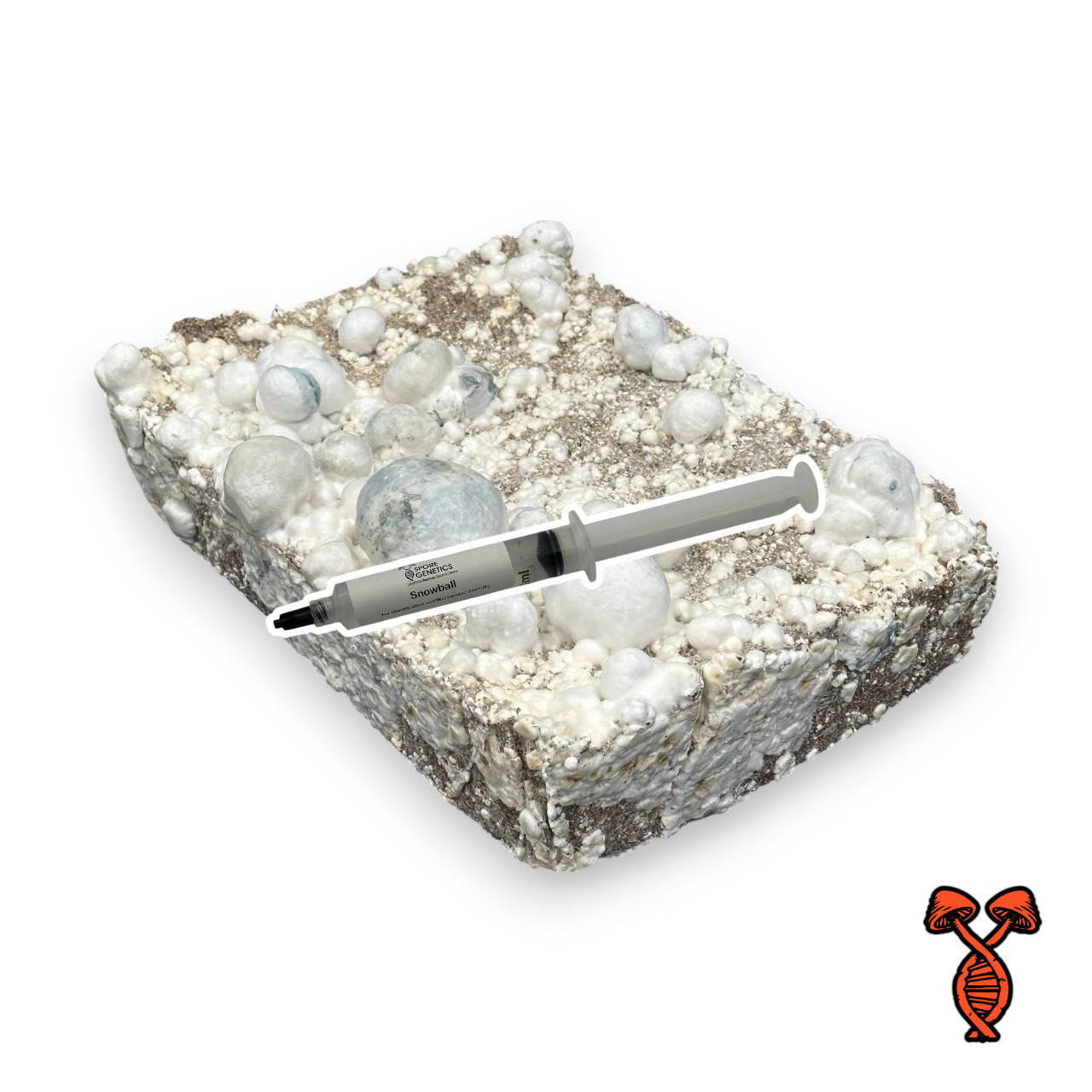 Snowball Mushrooms Isolated Spore Syringe | Spore Genetics