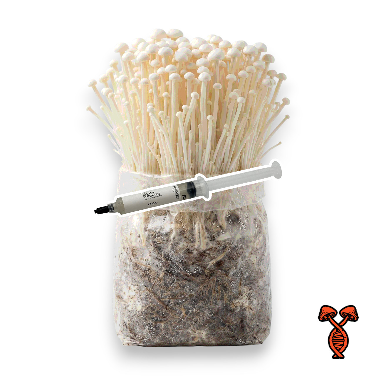 Enoki Liquid Culture Syringe | Spore Genetics