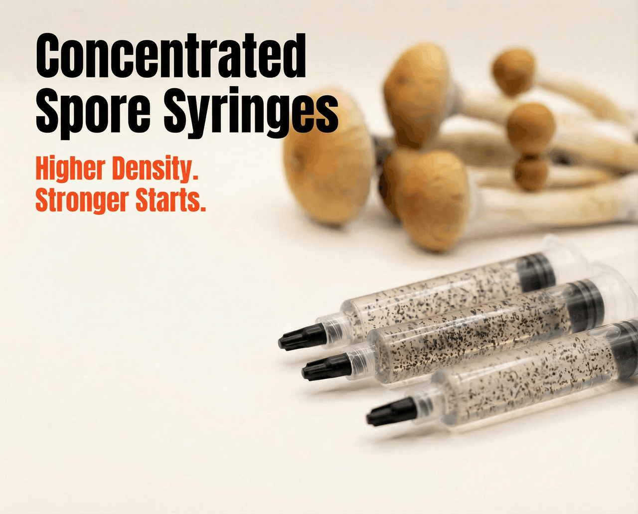 Concentrated Spore Syringes