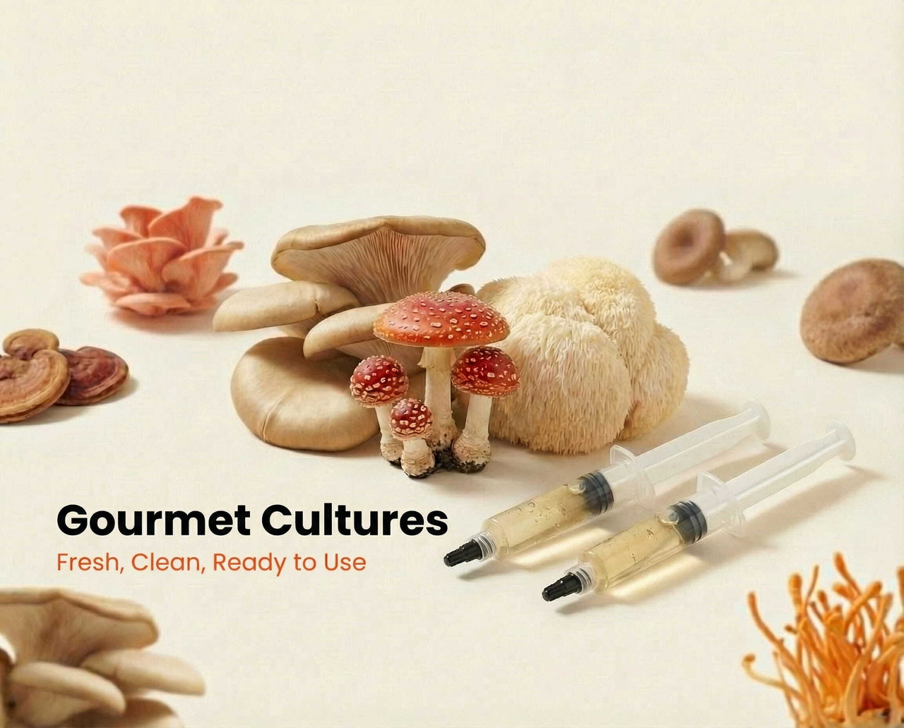 Gourmet Cultures