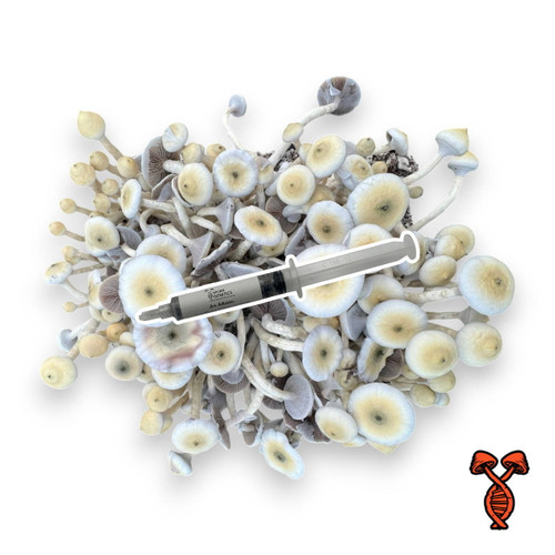 A+ Albino 10cc Spore Syringe