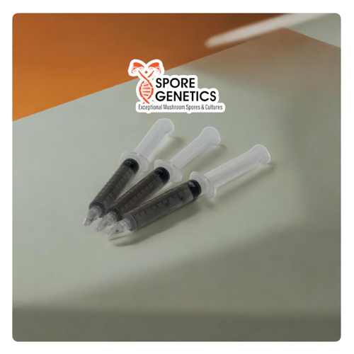 Spore-Genetics-3-Pack-Magic-Mushroom-Spore-Syringes
