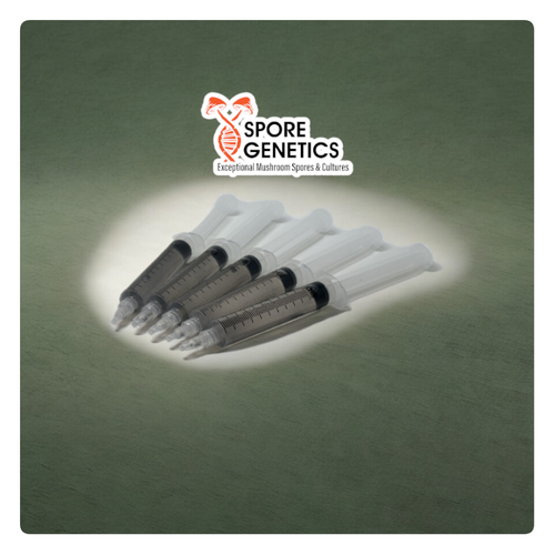 Spore-Genetics-5-Pack-Magic-Mushroom-Spore-Syringes