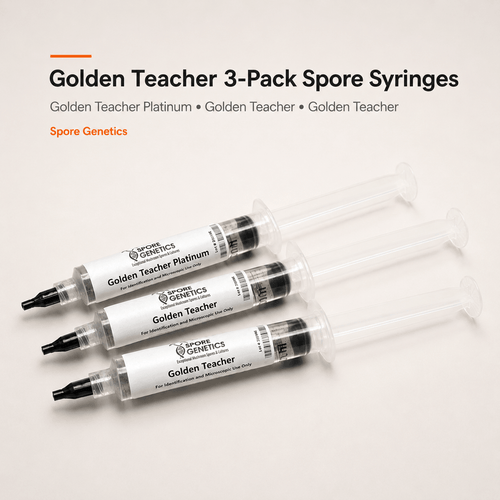 Golden Teacher Spore Syringe 3-Pack