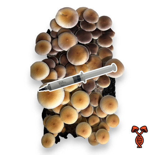 Elixir Spore Syringe