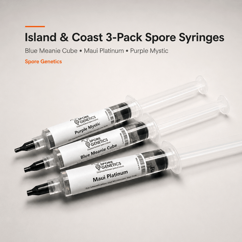 Island & Coast 3-Pack Mushroom Spore Syringes