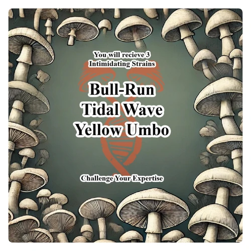 Signature Cubensis 3-Pack Spore Syringes Back