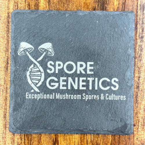 Spore Genetics Logo Slate Coaster – Official Mycology Merchandise