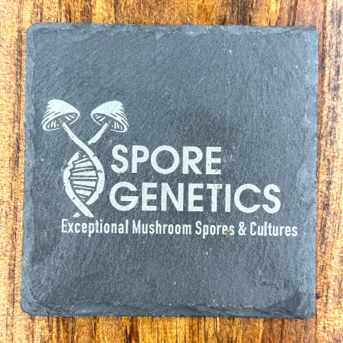 Spore Genetics Logo Slate Coaster – Official Mycology Merchandise Spore Genetics Logo Slate Coaster – Official Mycology Merchandise