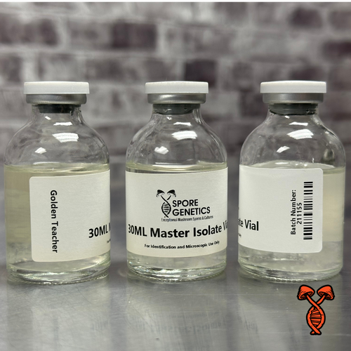 30ML Golden Teacher Isolate Vial