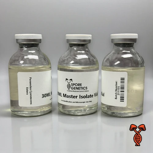 30ML Panaeolus Cyanescens Estero Isolate Vial