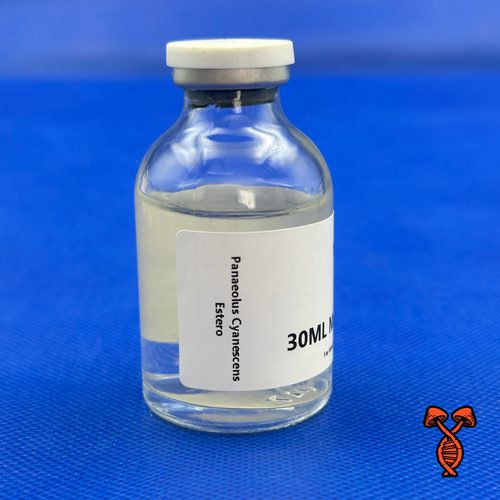 Panaeolus Cyanescens Estero 30ML Isolate Vial