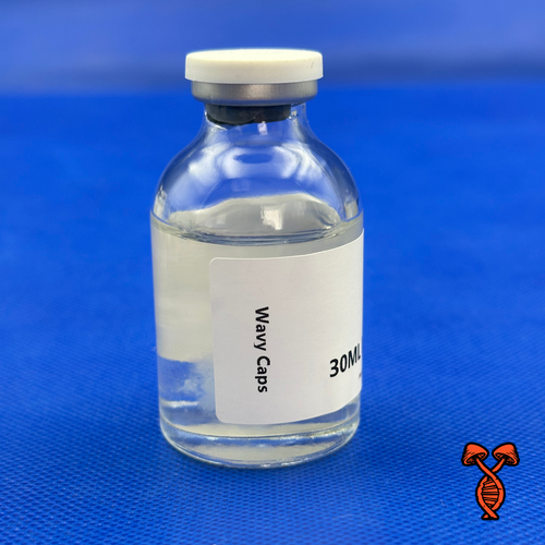 Psilocybe Cyanescens Wavy Caps 30ML Isolate Vial