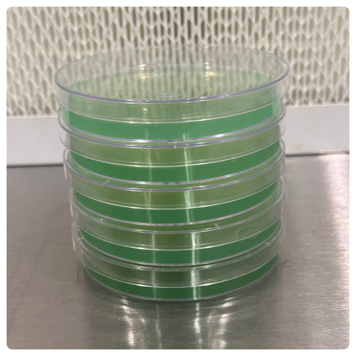 SG Signature LMEP Agar