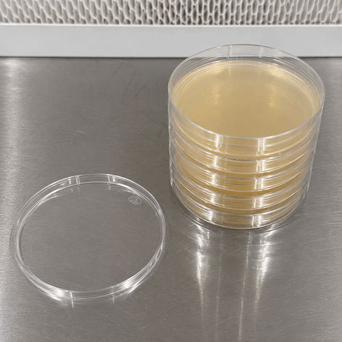 SG Signature LMEP Agar Infusion