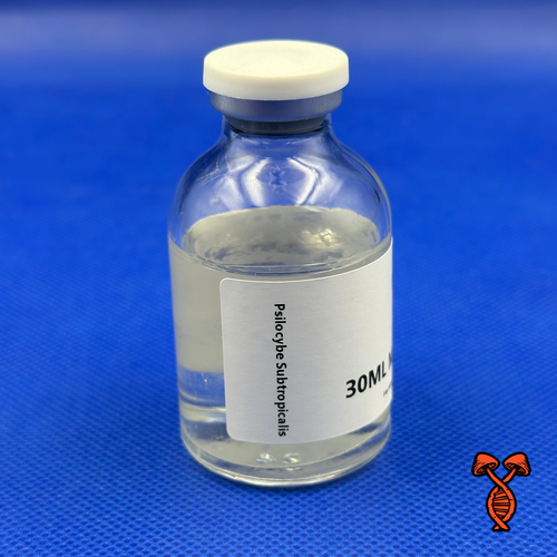 Psilocybe Subtropicalis - 30ML Master Isolate Vial